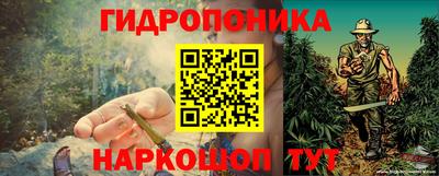 стафф Сланцы