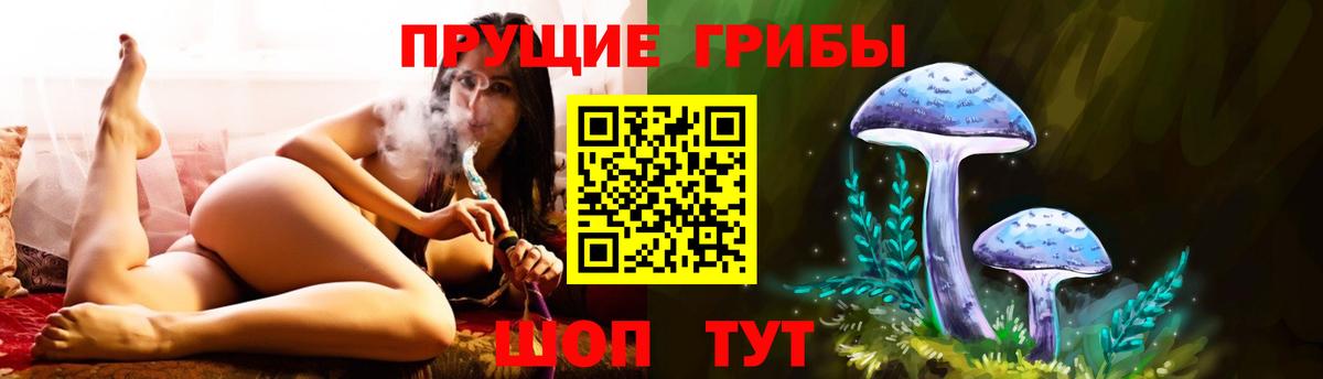 Галлюциногенные грибы Magic Shrooms  где можно купить   Вход с VPN  Прокопьевск  Псилоцибиновые грибы прущие грибы 